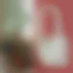 Dažnio keitimo ultragarsinis uodų naikintuvas su LED miego šviesa | ANTIMOSI