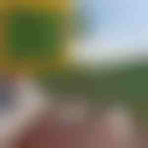 Dirbtinių lapų tvorelė-uždanga | LEAFPANEL