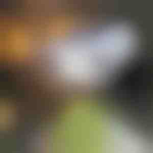 Saulės šviestuvas su judesio jutikliu | LUMACAM