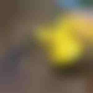 Dezinfekcijos garų valytuvas | VAPERO