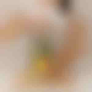 Ananasų pjaustyklė, veikianti be pastangų | PINECUT