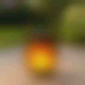 Saulės žibintai su šokančios liepsnos efektu | FLAMLUX