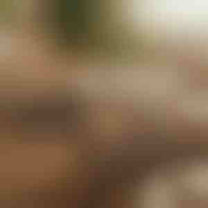 Magnetinis lipnus kabelių organizatorius (12 vnt.) | CABLIP